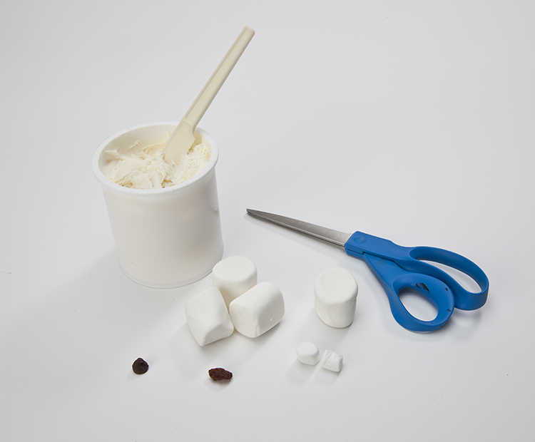 Materials: marshmallows, white frosting, chocolate chip, raisin