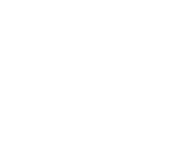 Size of a sunbear compared to a bed
