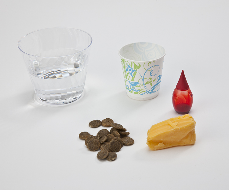Materials: paper cup, treats, water, food coloring, a freezer